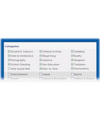 Draytek Web Content Filter (1 jr) 28-/29-serie